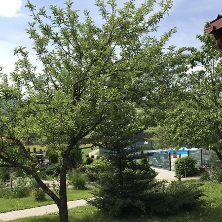 Apartments San - With Pool; Раковица Екстер'єр фото